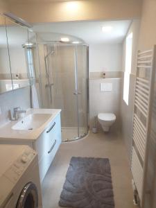 ein Bad mit einer Dusche, einem WC und einem Waschbecken in der Unterkunft Ferienhaus Kumpitsch in Sankt Johann im Saggautal