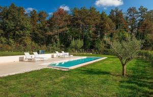 a pool with lounge chairs and a tree in a yard at Villa-Vesta in Višnjan +27 photos