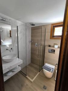 パルガにあるVilla Alexandrosのバスルーム(シャワー、洗面台、トイレ付)