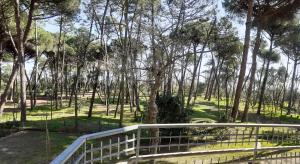 a bridge in a park with trees and grass at I Velieri in Cesenatico