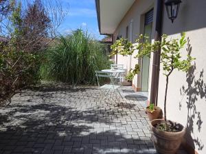 Vonkajšia záhrada v ubytovaní L'elicriso B&B