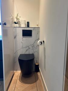 a bathroom with a blue toilet and a marble wall at Bnb de leeuw in Badhoevedorp