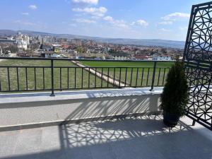 una maceta sentada en un balcón con vistas a la ciudad en APARTAMENT PANORAMIC en Alba Iulia