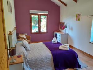 a bedroom with a bed with purple walls and a window at Keranmeriet D near Pont Aven, Concarneau, beaches 15km in Melgven