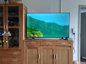 a flat screen tv sitting on top of a wooden entertainment center at Wellness in the Naafbachtal in Much