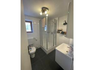 a bathroom with a shower and a toilet and a sink at Holiday apartment Edelweiss in Rieden am Forggensee +33 photos