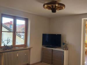 a living room with a television and a window at Holiday apartment Edelweiss in Rieden am Forggensee