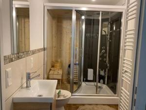 ein Bad mit einer Dusche, einem Waschbecken und einem WC in der Unterkunft Holiday home Waldhaus St Martin in Sankt Martin