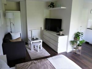 een woonkamer met een tv op een dressoir met een bank bij Apartment Ankenbrand in Randersacker