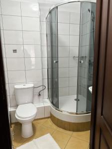 a bathroom with a toilet and a shower at Villa Carmen in Kudowa-Zdrój