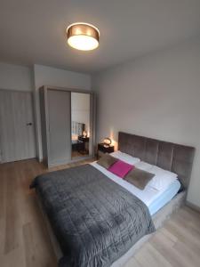 a bedroom with a large bed and a light at Nova Nowa Apartment in Zielona Góra