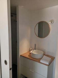 ein Badezimmer mit einem Waschbecken und einem Spiegel auf der Theke in der Unterkunft Le 79 appartement avec terrasse tout confort in Sarzeau