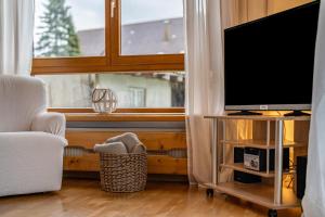 a living room with a television and a window at Fewo Schwarzwald - Haus Sommerberg in Baiersbronn