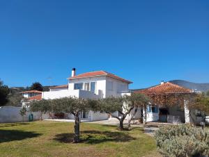 una casa blanca con árboles en el patio en V.K.Seaside Villa, en Volos