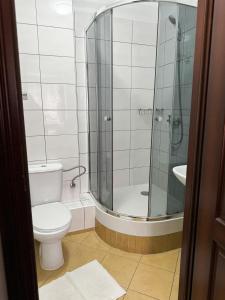 a bathroom with a shower and a toilet and a sink at Villa Carmen in Kudowa-Zdrój