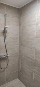 a bathroom with a shower with a shower head at Eleonoras Ferienwohnung in Würzburg Stadt inklusive eigenen Parkplätzen vor der Tür in Würzburg