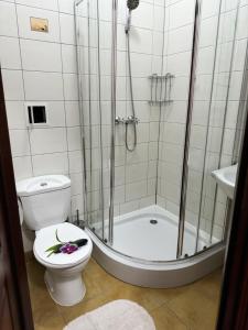 Koupelna v ubytování Villa Carmen