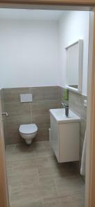 a bathroom with a toilet and a sink and a mirror at Eleonoras Ferienwohnung in Würzburg Stadt inklusive eigenen Parkplätzen vor der Tür in Würzburg