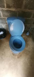 niebieska toaleta w pokoju z ceglaną ścianą w obiekcie Lodging and Adventure w mieście Soposo