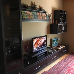 a living room with a television on a entertainment center at Qax İlisu in Qax