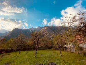 un campo con alberi e montagne sullo sfondo di Qax İlisu a Qax
