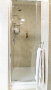 a shower with a glass door in a bathroom at Eccles Townhouse in Dublin