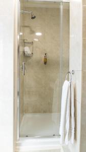a shower with a glass door in a bathroom at Eccles Townhouse in Dublin +22 photos
