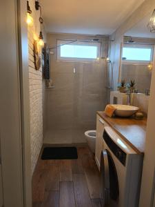 W łazience znajduje się prysznic, umywalka i toaleta. w obiekcie Gdańska Panorama Niedźwiadka w Gdańsku