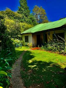 a house with a green roof and a grass yard at Back o' the Moon Holiday cottage in Hogsback