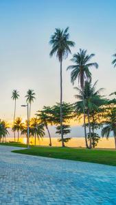 a cobblestone road with palm trees on the beach at Montage Villa near Beach with Golf View in Nongsa