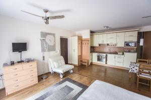 Kuchyň nebo kuchyňský kout v ubytování Atmoszféra Apartman