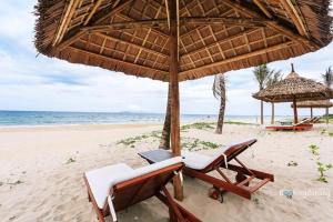 two chairs and an umbrella on a beach at Ocean Apartment Two Bedrooms in Danang