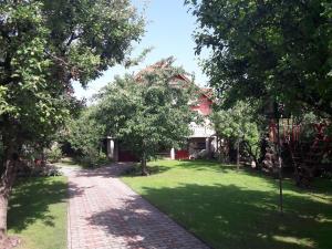 a brick driveway leading to a house with trees at Júlia Apartman in Balatonalmádi