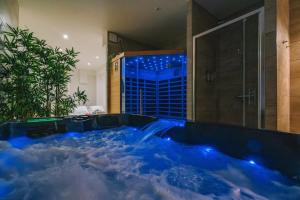 Bazén v ubytovaní Spa appartement O temps suspendu Reims centre sauna et jacuzzi alebo v jeho blízkosti