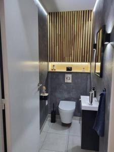 ein Bad mit einem WC und einem Waschbecken in der Unterkunft Appartement Vélizy-Villacoublay in Vélizy-Villacoublay