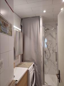 een badkamer met een douche en een wasmachine bij Au cœur de Strasbourg, 3 pièces vue sur l'Ill! in Straatsburg
