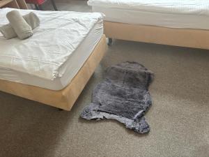 Fotografie z fotogalerie ubytování Default 1170 ve Vídni