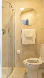 a bathroom with a toilet and a glass shower at Eccles Townhouse in Dublin