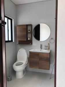 ein Badezimmer mit einem WC, einem Waschbecken und einem Spiegel in der Unterkunft Quieres descanso? Esta es la Villa ideal para ti in Silvania