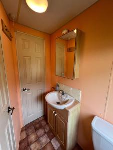 ein Badezimmer mit einem Waschbecken, einem Spiegel und einem WC in der Unterkunft Spacious 2 bedroomed mobile home in Aberystwyth