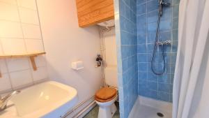ein kleines Bad mit einem WC und einer Dusche in der Unterkunft Le 3300 - 42 - Studio vue piste - 2 pers in Les Deux Alpes