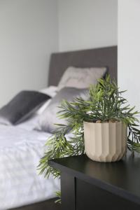 a potted plant sitting on a table next to a bed at Comfy 2-Bedroom House in Parkgate - Ideal for Contractors/Business Travellers in Rotherham