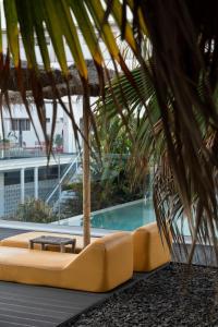 a resort with a pool and a couch and a palm tree at Buendía Corralejo nohotel in Corralejo