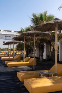 a row of yellow beds with umbrellas and palm trees at Buendía Corralejo nohotel in Corralejo