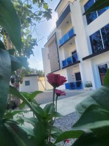 a red flower in front of a building at sweetapts in Matancita