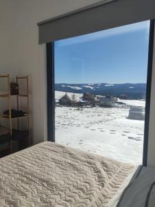 Schlafzimmer mit einem großen Fenster mit Blick auf den Schnee in der Unterkunft Tiny House Maguri in Măguri