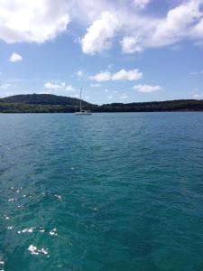 ein Segelboot inmitten eines großen Wasserkörpers in der Unterkunft Chambre sur un voilier in Sainte-Anne