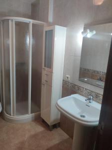 La salle de bains est pourvue d'une douche et d'un lavabo. dans l'établissement Apartamento Río Gallo, à Cuntis