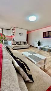 Svetainės erdvė apgyvendinimo įstaigoje NeriesResort 3 Rooms Suite iN Centrum