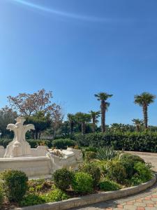 une fontaine dans un parc avec des palmiers en arrière-plan dans l'établissement Hotel Miramare, à Vodice